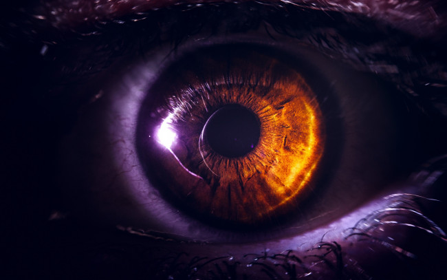 Обои картинки фото разное, глаза, глаз