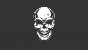 Картинка рисованное минимализм череп