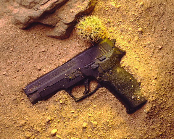 Обои картинки фото sig, sauer, p226, оружие, пистолеты