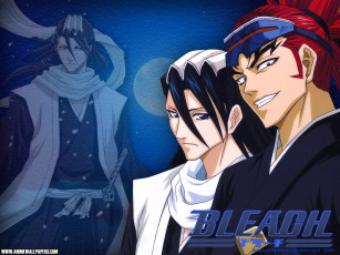 Картинка аниме bleach