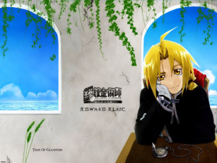 Картинка аниме fullmetal alchemist