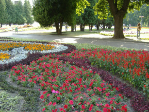 Картинка цветы разные вместе