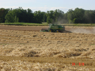 Картинка природа