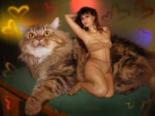 Картинка разное