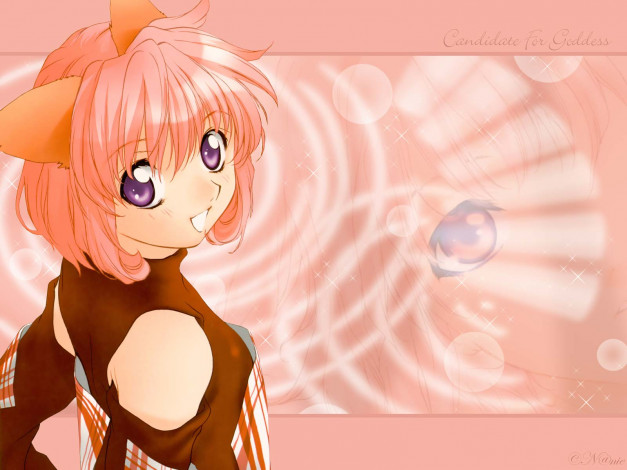 Обои картинки фото аниме, animals