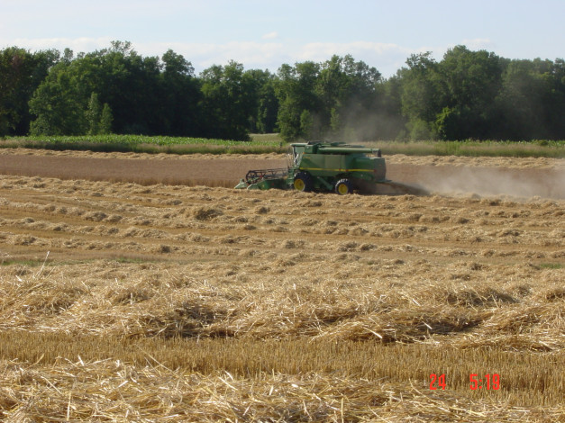 Обои картинки фото природа