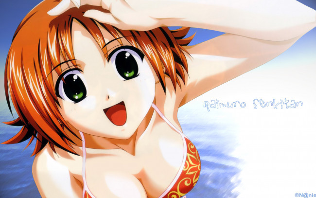 Обои картинки фото аниме, raimuiro, senkitan