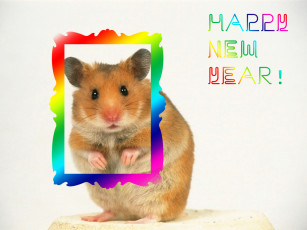 Картинка праздничные