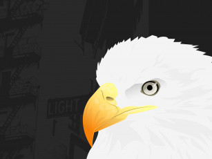 Картинка векторная графика