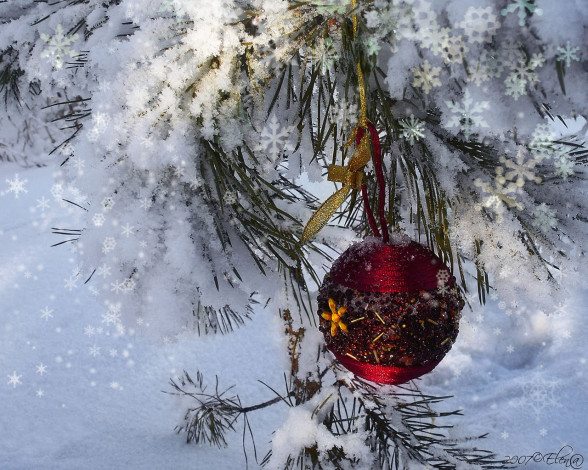 Обои картинки фото праздничные