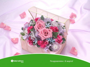 Картинка бренды мегафон