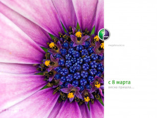 Картинка бренды мегафон