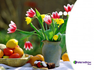 Картинка бренды мегафон