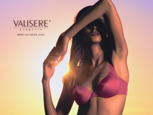 Картинка бренды valisere