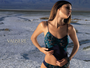 Картинка бренды valisere