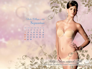 Картинка бренды wacoal