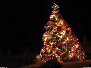 Картинка праздничные Ёлки