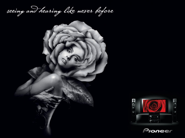Обои картинки фото бренды, pioneer