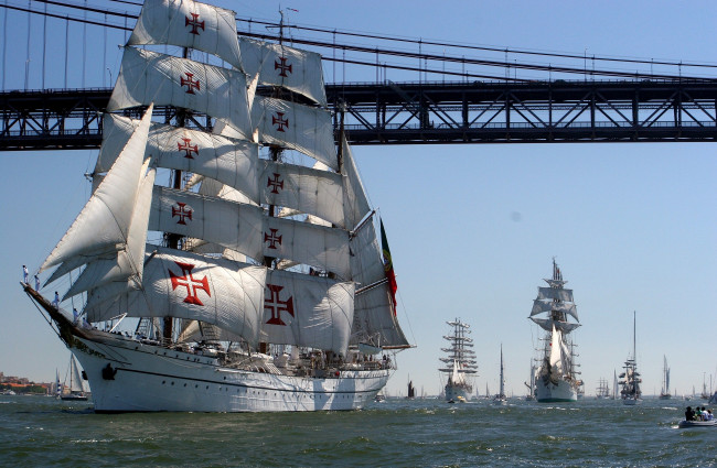 Обои картинки фото корабли, парусники, много, крест, паруса, белый