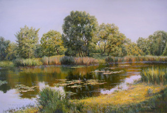 Картинка рисованные олег комаров вода ряска отражение берег деревья утро на реке