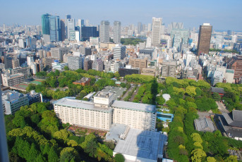 Картинка города панорамы дома