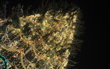 Картинка праздничные Ёлки гирлянды елка