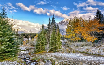 Картинка природа пейзажи ели дорога ручей горы