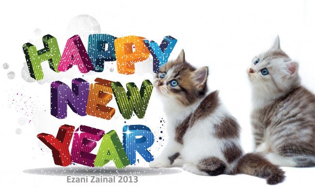 Обои картинки фото животные, коты, праздник, котята