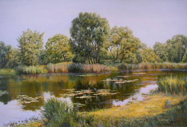 Обои картинки фото рисованные, олег, комаров, вода, ряска, отражение, берег, деревья, утро, на, реке