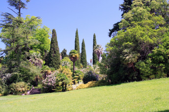 Картинка природа парк трава деревья пальмы дендрарий