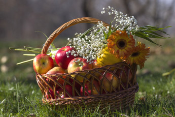 Картинка еда Яблоки герберы корзина
