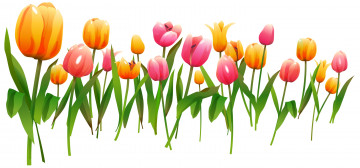Картинка векторная+графика тюльпаны