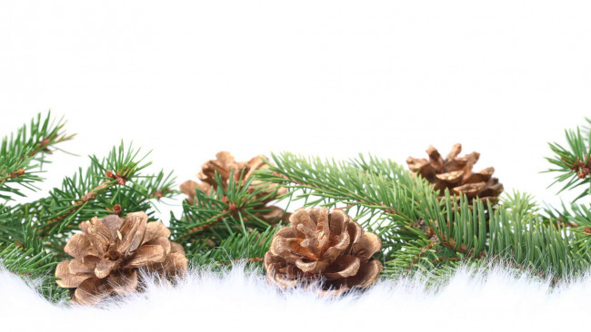 Обои картинки фото праздничные, - разное , новый год, гирлянда, шишки, ёлка