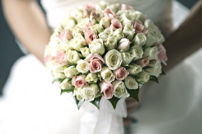 Обои картинки фото цветы, розы, букет