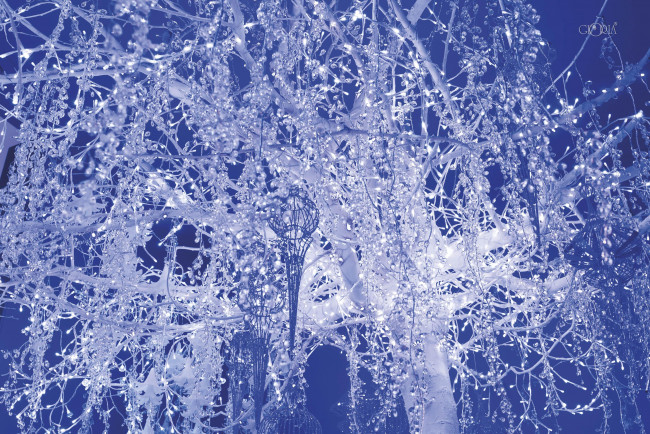 Обои картинки фото праздничные, мишура,  гирлянды,  цветы, гирлянды, иллюминация, дерево, свет