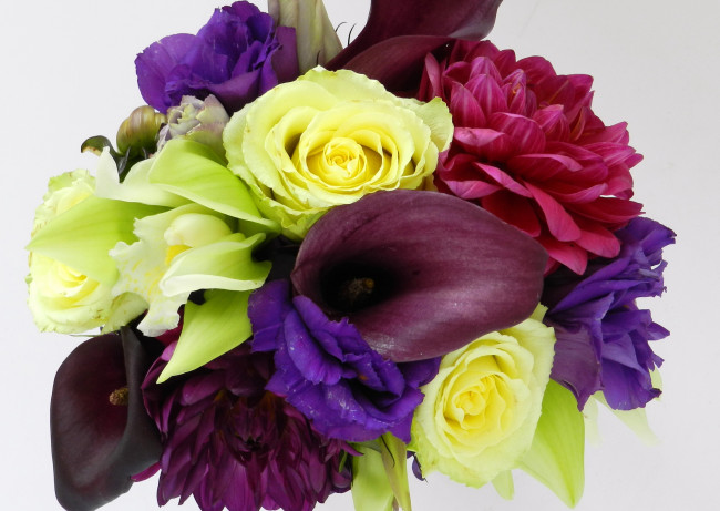 Обои картинки фото цветы, букеты,  композиции, розы, каллы, георгины, эустома, букет