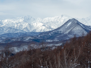 Картинка природа горы пейзаж деревья вершины небо