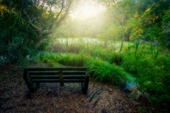 Картинка природа реки озера лес озеро скамейка