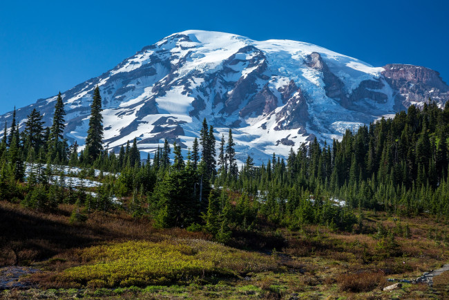 Обои картинки фото природа, горы, долина, лес