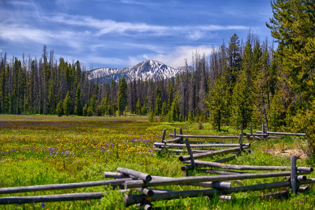 Обои картинки фото природа, луга, изгородь, луг, горы