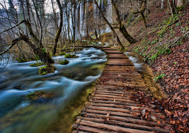 Обои картинки фото природа, дороги, лес, ручей, настил