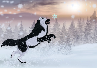 Картинка рисованное животные +собаки собака взгляд лес