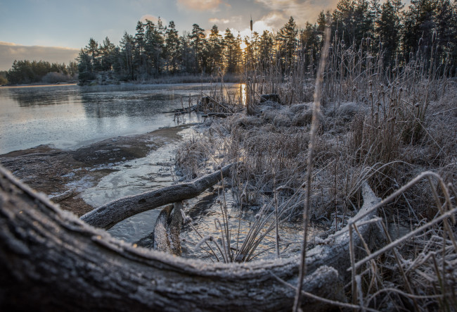 Обои картинки фото природа, реки, озера, лес, река