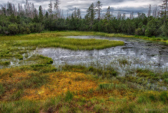 Картинка природа реки озера река лес