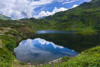 Картинка природа реки озера река лес