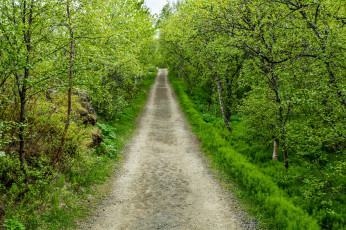 Картинка природа дороги тракт