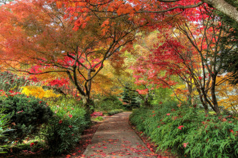 Картинка природа дороги тракт