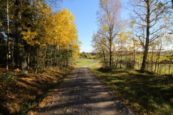 Картинка природа дороги тракт