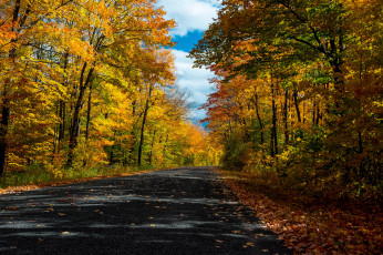 Картинка природа дороги тракт