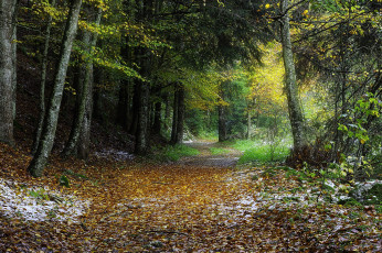 Картинка природа дороги тракт